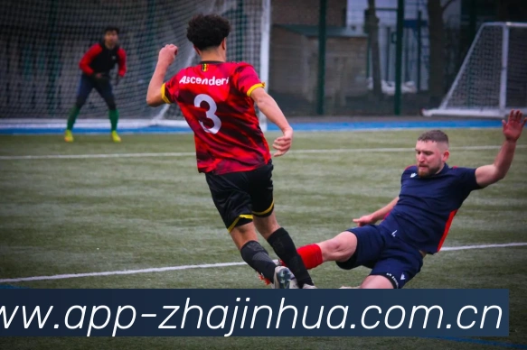 多媒体互动体验